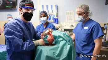 U.S. surgeons transplant pig heart into human patient in medical first