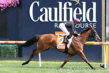 Open Minded to be set for the John Dillon Stakes - Sports News