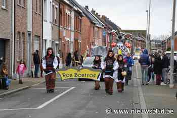 Ook dit jaar geen carnavalsstoeten in Baasrode en Dendermonde: “Geen enkel feest mag prioriteit krijgen op gezondheid” - Het Nieuwsblad