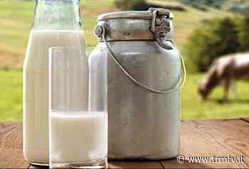 Latte: Cia Potenza e Matera, subito in Regione il “tavolo permanente del comparto zootecnico” - TRM Radiotelevisione del Mezzogiorno