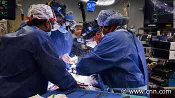 In a medical first, a man with terminal heart disease gets a transplant of genetically modified pig heart