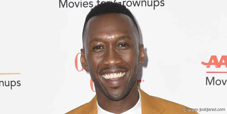 Mahershala Ali to Star in Onyx Collective Series 'The Plot' at Hulu
