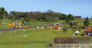 Crean mudas libres de virus para agricultura - La Nación