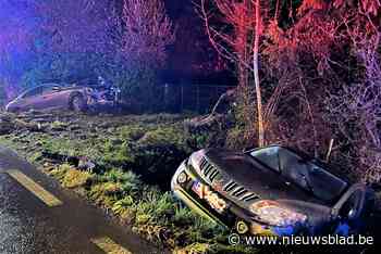 Twee wagens in struiken na botsing (Lierde) - Het Nieuwsblad