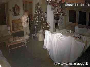 Furti a raffica nelle abitazioni, quattro appartamenti svaligiati: è psicosi - ciociariaoggi.it