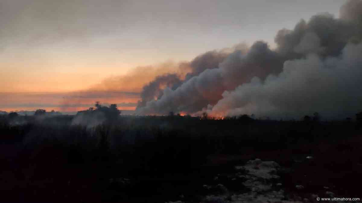 Incendio forestal en Nueva Italia amenaza alcoholera y dos estancias - ÚltimaHora.com