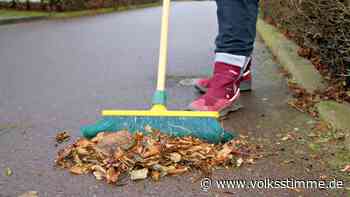 Schnee auf dem Gehweg: Welche Pflichten haben Bürger in Elbe-Heide? - Volksstimme