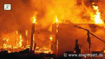 Altes Gebäude der Endo Klinik in der Heide niedergebrannt - Hamburger Abendblatt