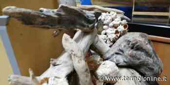 Termoli: Il presepe "marinaro" dell'Anmi: gli auguri della sezione di Termoli - Termoli Online