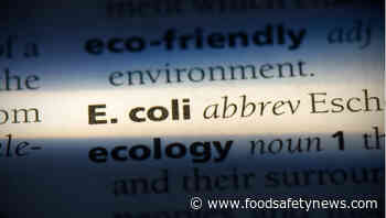 Deadly E. coli O157 outbreak sickens 13 in Denmark - Food Safety News