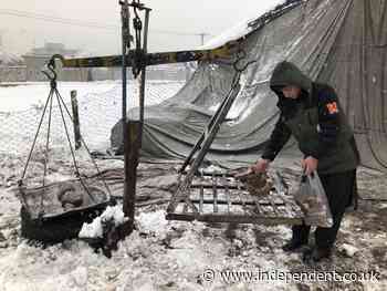 In Afghanistan many have to choose between food and warmth - The Independent