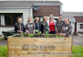 Food social enterprise in Ross-shire plots new way forward - RossShire Journal