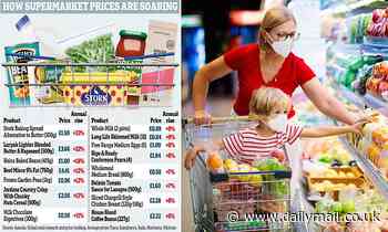 Families hammered as new year food bills rocket with household essentials rising - Daily Mail