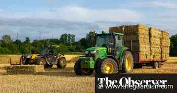 Farm subsidy plan 'risks increasing the UK's reliance on food imports' - The Guardian