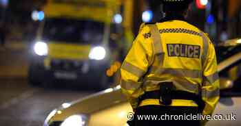 Body of man found in grasslands in County Durham on New Year's Day - Chronicle Live