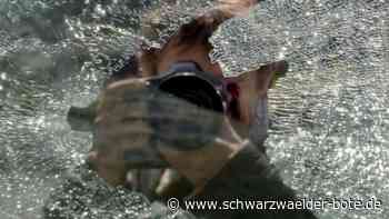 Einbruch in Bad Liebenzell: Jugendliche stehlen Schmuck im Wert von 50.000 Euro