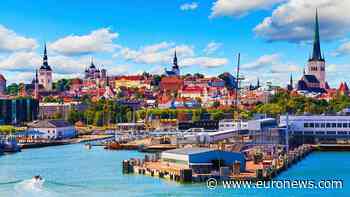 Europe's greenest city has free public transport and highways for bees - Euronews