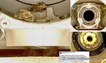 NASA's Perseverance hits a snag as debris prevents its robotic arm from storing sixth rock sample