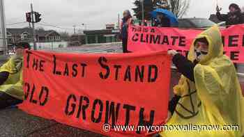 Old Growth Logging Protests Halt Traffic in Nanaimo - My Comox Valley Now