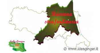 Ravenna Stra/Ordinaria - Idea Ginger