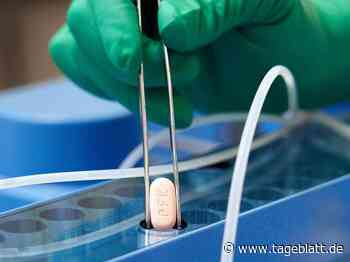 EU-Behörde EMA prüft Zulassung von Paxlovid - Landkreis Stade - Tageblatt-online