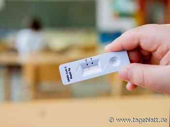 Schulunterricht startet nach den Ferien: Was in Niedersachsen gilt - Landkreis Stade - Tageblatt-online