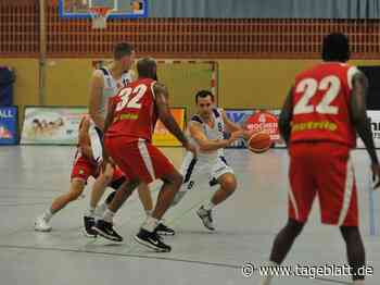 Bilanz und Ausblick: VfL Stade startet mit Schlüsselspielen ins neue Jahr - TAGEBLATT: Nachrichten aus Stade, Buxtehude und der Region - Tageblatt-online