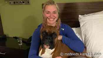 Prize-winning show dog, stolen van recovered