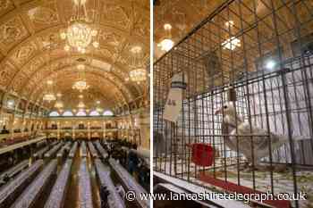 Blackpool pigeon show to return for 50th anniversary this January