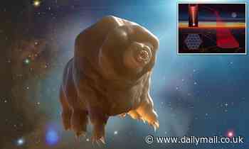 Scientists want to fire 'indestructible' Tardigrades to distant stars