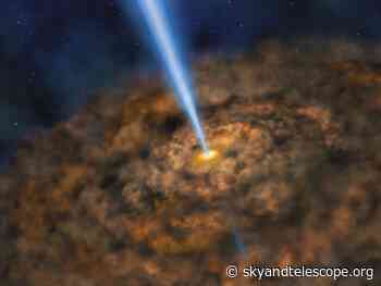 Dwarf Galaxies Shed Light on Black Hole Origins