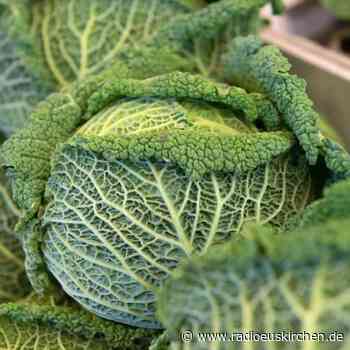 So gelingt Wirsing herrlich asiatisch - radioeuskirchen.de