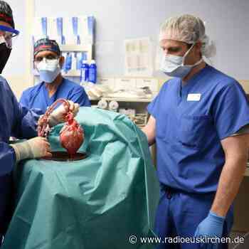 Erstmals Schweineherz-Transplantation für einen Menschen - radioeuskirchen.de