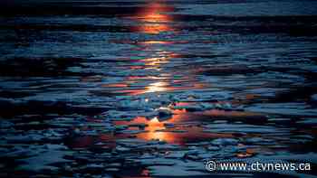 World’s oceans were warmest on record, again, in 2021: study