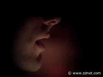 Open the pod bay doors, please, HAL: Meta's AI simulates lip-reading