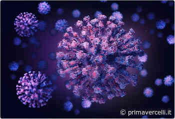 Covid Vercelli: 623 nuovi casi e 234 guariti - Prima Vercelli