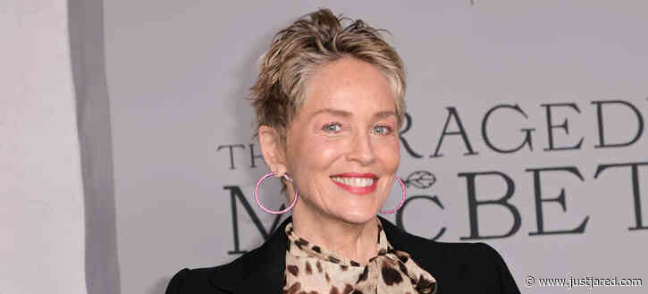 Sharon Stone Joins 'The Flight Attendant' Season 2, Role Revealed!