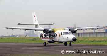 Indonesian Aerospace appeals to finance sector to support N219 programme - Flightglobal