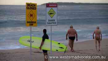 Great White shark spotted close to popular Sydney beaches - Western Advocate