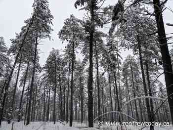 Environment Canada issues extreme cold warning for Renfrew County - renfrewtoday.ca