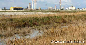 Più controlli sul petrolchimico: accordo tra Versalis, Arpa e Ispra. Il Tar dichiara improcedibile il ricorso del Comune - L'Ora di Brindisi