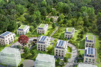 Dresden: Streit um Leutewitzer Park: Wald oder Sozialwohnungen? - Sächsische.de