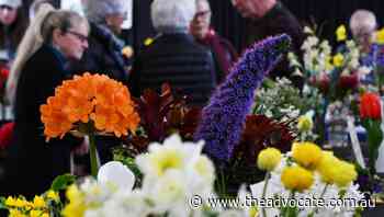 Six sections make up Wynyard Garden Club competition - The Advocate