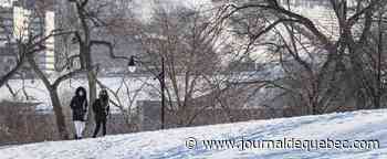 Le Stade de soccer de Montréal deviendra un refuge pour itinérants