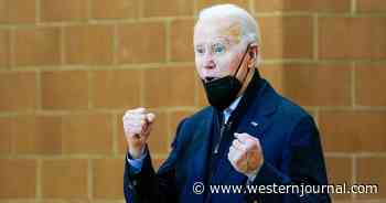 Biden's Stunning Attempt to Comfort Victims of Wildfire: We Will Have Windmills with 100-Yard Wingspans