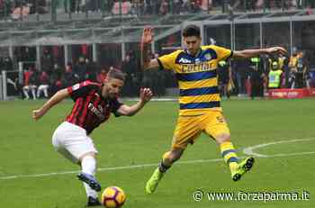 Per l'attacco spunta il nome di Borini - Forza Parma