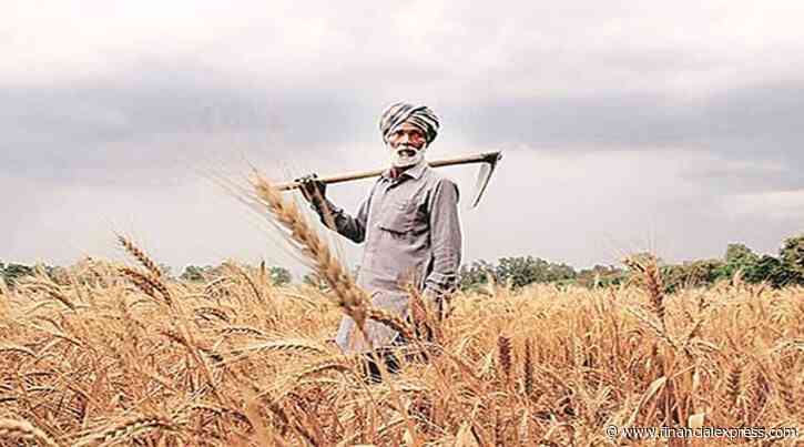 Zero-budget natural farming could lead to yield loss: Panel