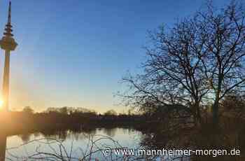 So war das Wetter im Dezember in Mannheim - Mannheim - Nachrichten und Informationen - Mannheimer Morgen