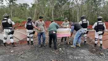 Clausuran centro clandestino de tala maderera y carbón vegetal en Dzibalchén, Campeche - PorEsto