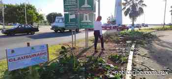 Diputada y regidora exigen sanciones por tala de árboles en el Boulevard Bahía de Chetumal - Noticaribe